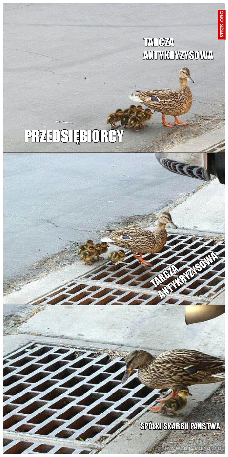 tarcza                      antykryzysowa