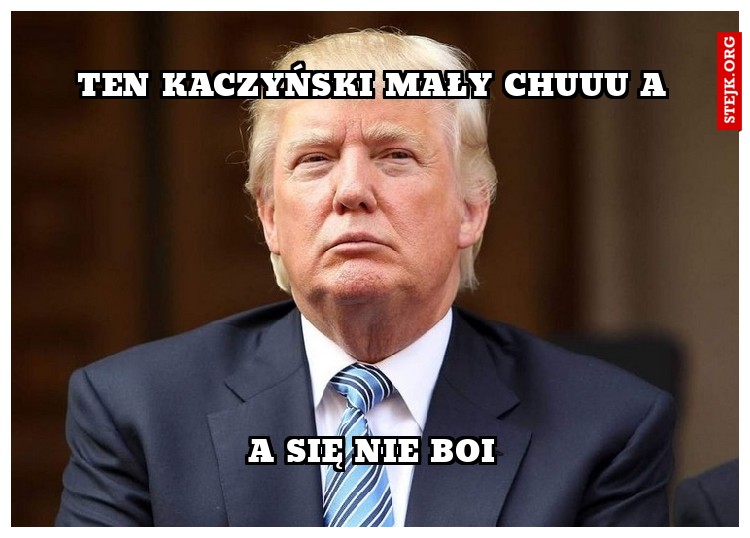 Ten Kaczyński mały chuuu a