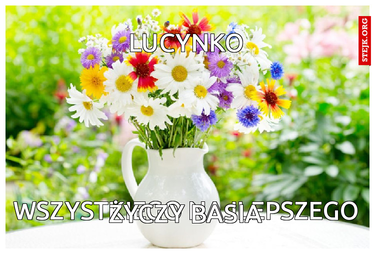 LUCYNKO