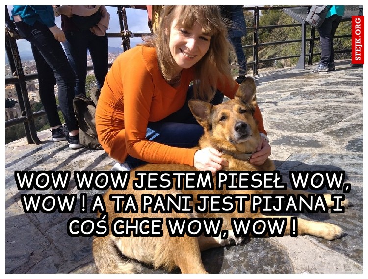 Wow wow jestem pieseł wow, wow ! A ta pani jest pijana i coś chce wow, wow !