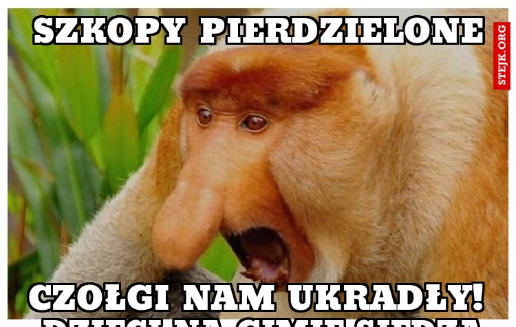 Bartek Wychodzisz?