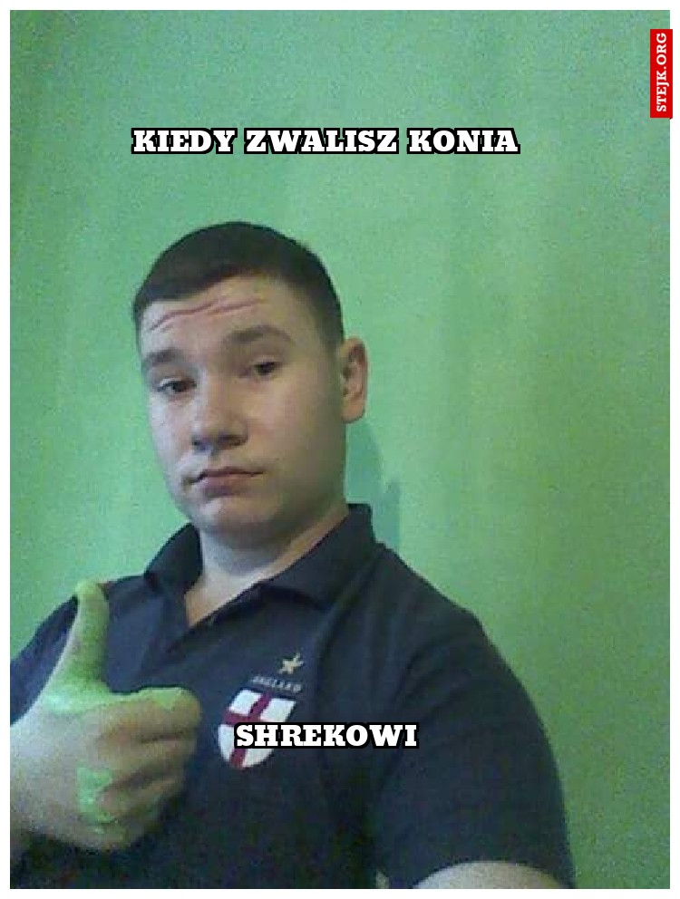 Kiedy zwalisz konia 