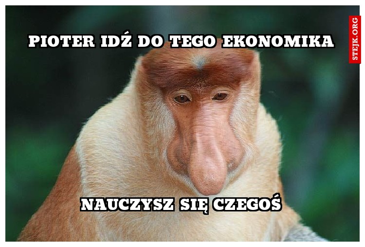 pioter idź do tego ekonomika