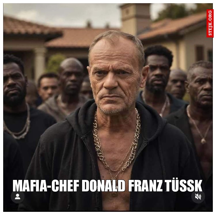 Mafia-Chef Donald Franz Tüßk