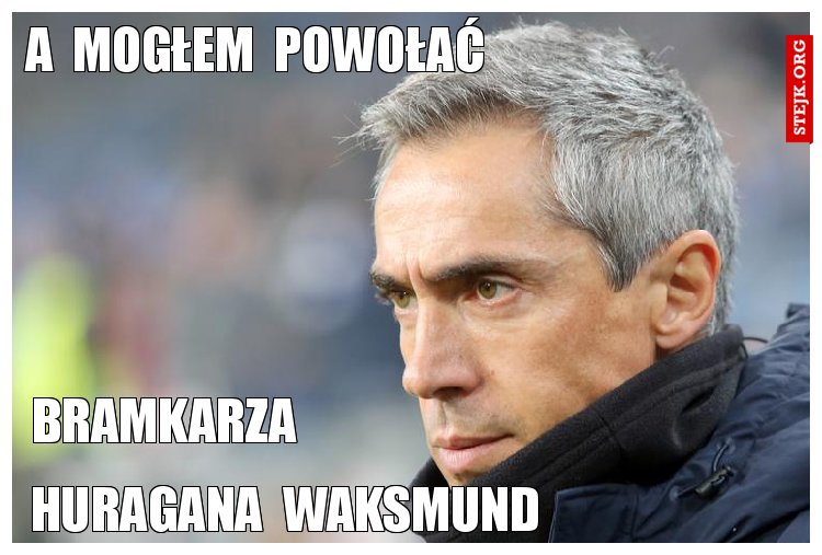 a  mogłem  powołać 