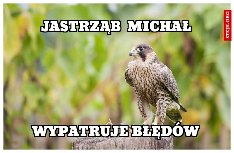 Jastrząb  Michał