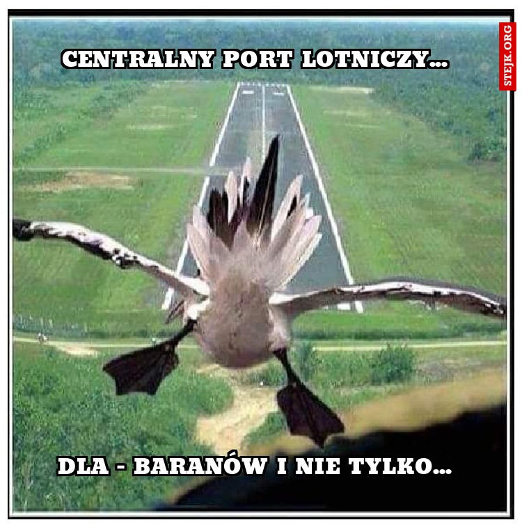Centralny port lotniczy... 