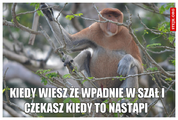 Kiedy wiesz że wpadnie w szał i czekasz kiedy to nastąpi 