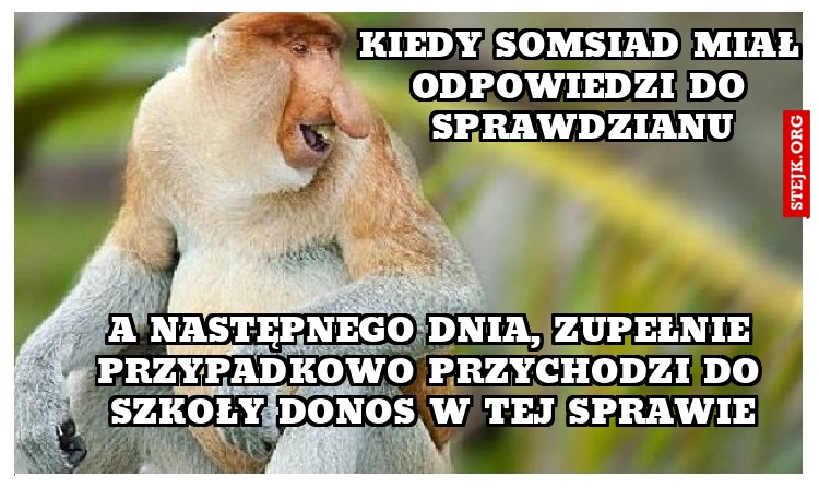 Kiedy somsiad ma odpowiedzi do sprawdzianów