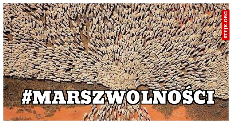 #Marszwolności