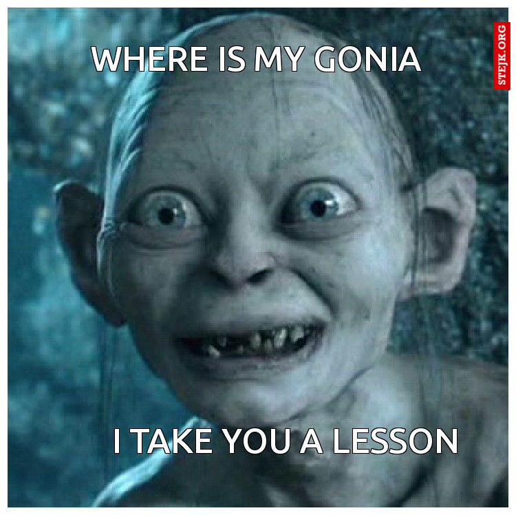 Where is my Gonia