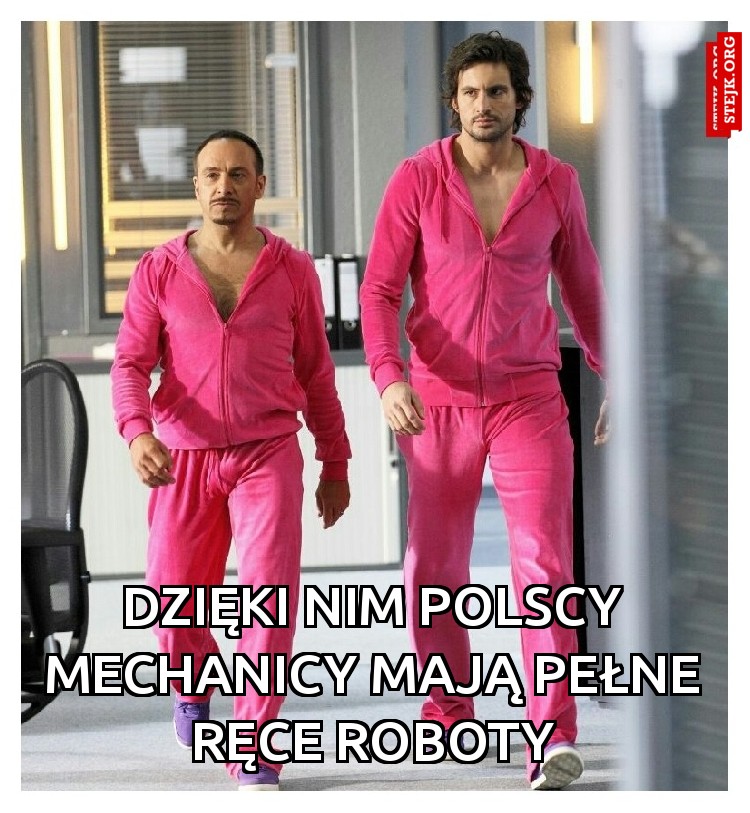 Dzięki nim polscy mechanicy mają pełne ręce roboty