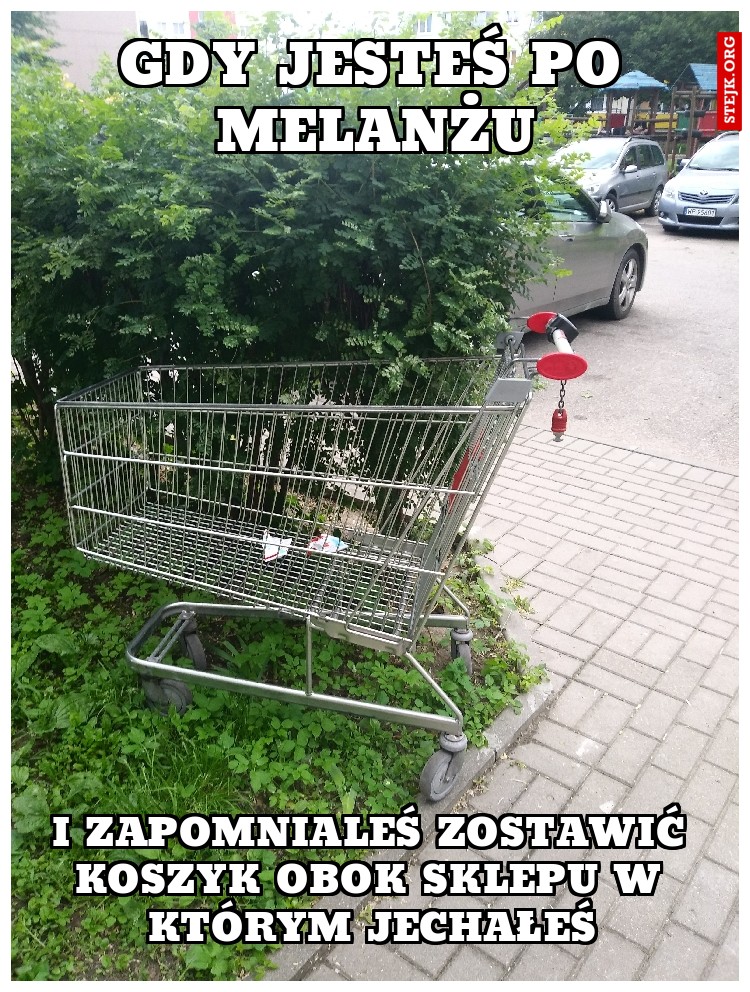 MELANZ