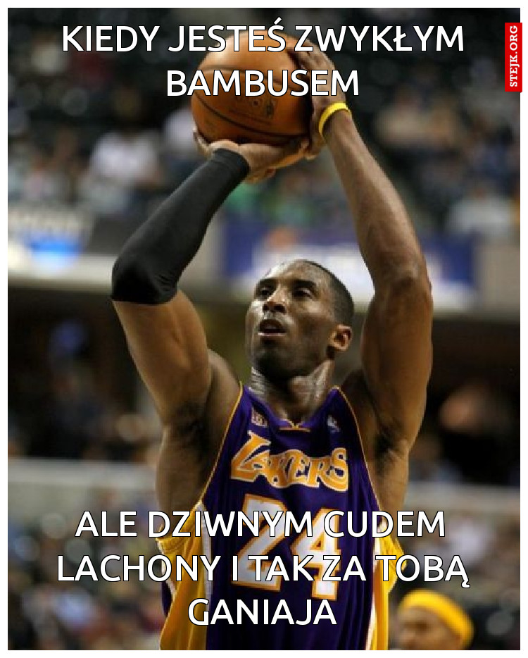 Kiedy jesteś zwykłym bambusem