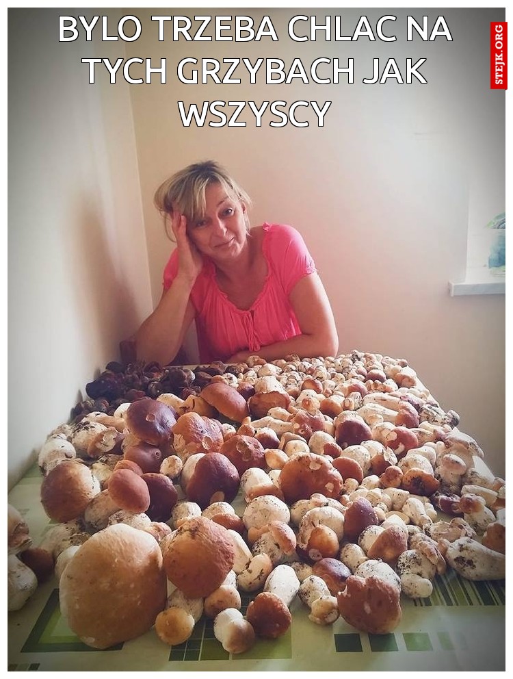 BYLO TRZEBA CHLAC NA TYCH GRZYBACH JAK WSZYSCY