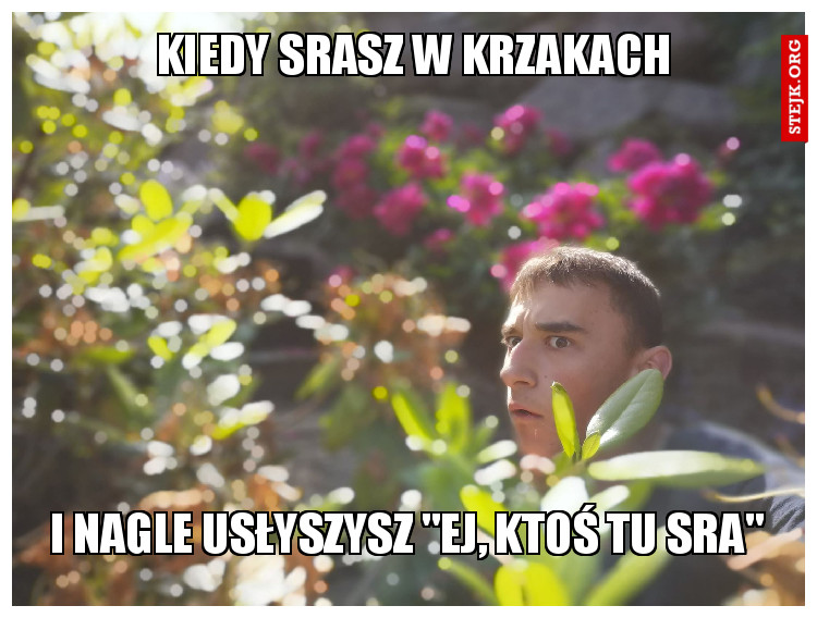 kiedy srasz w krzakach