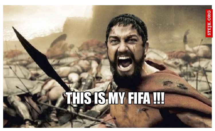 This is my Fifa !!!