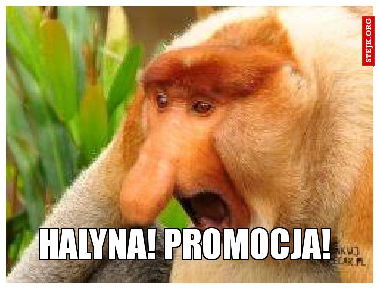 HALYNA! PROMOCJA! 