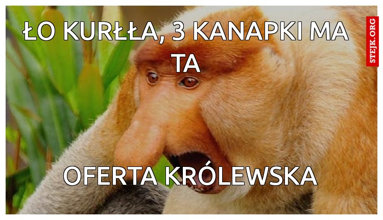 ło kurłła, 3 kanapki ma ta