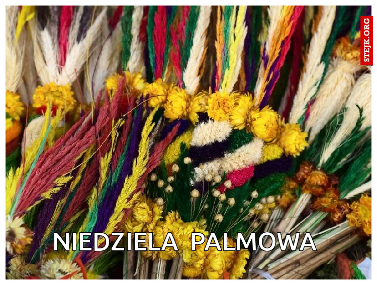 Niedziela  palmowa 