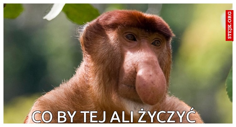 Co by tej ali życzyć kurła??