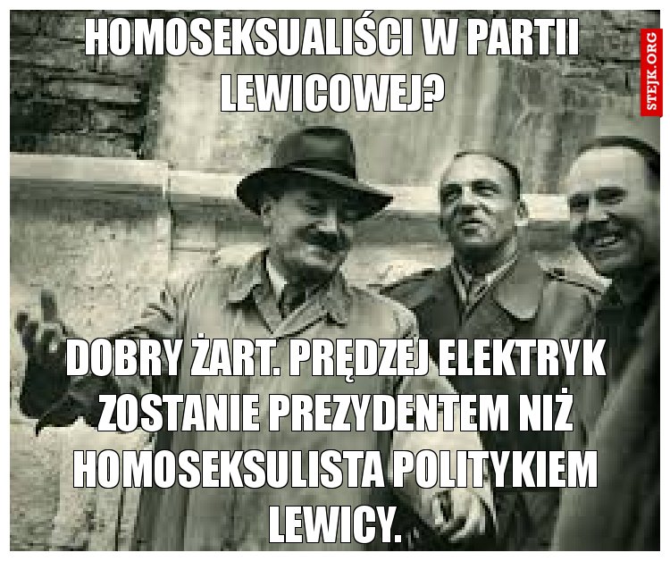 Homoseksualiści w partii lewicowej?