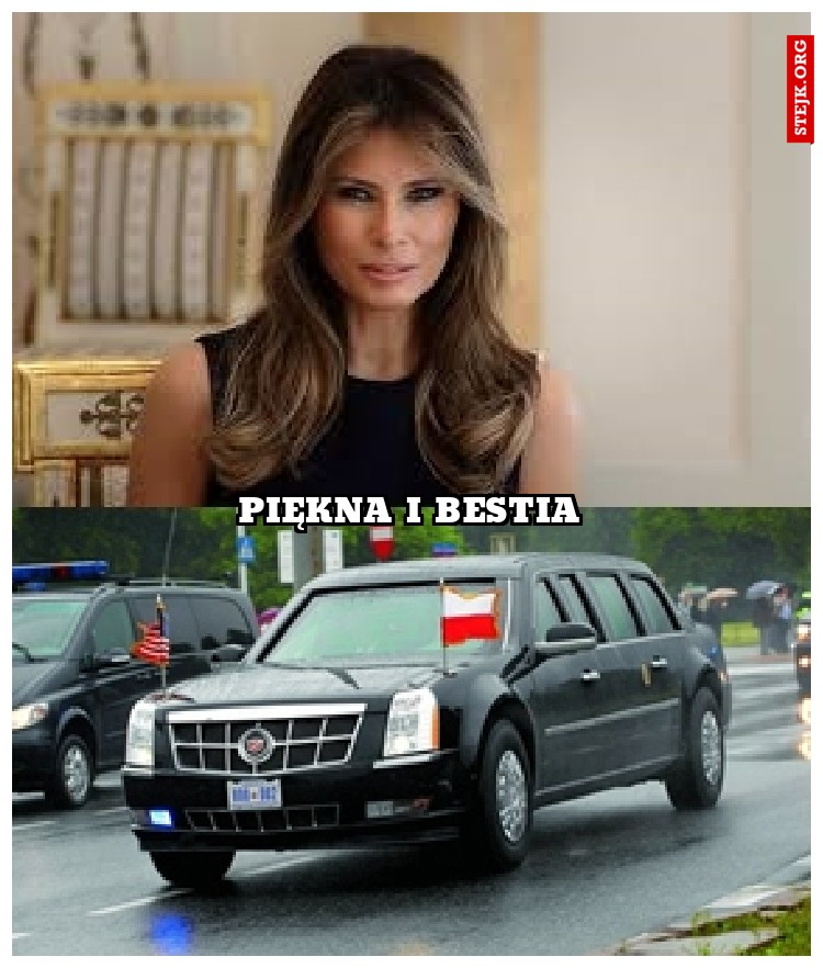 PIĘKNA I BESTIA