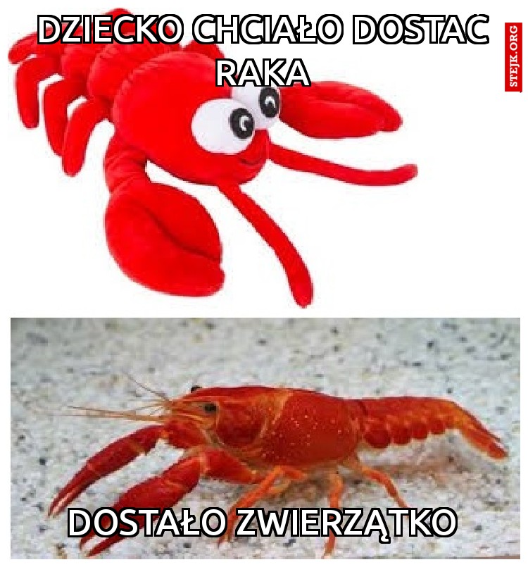 Kiedy marzysz o czymś co chcesz a dostajesz co innego