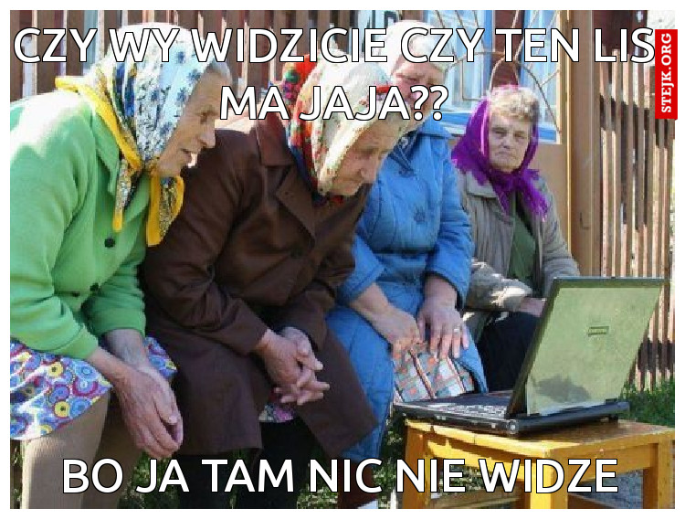 Czy wy widzicie czy ten lis ma jaja??