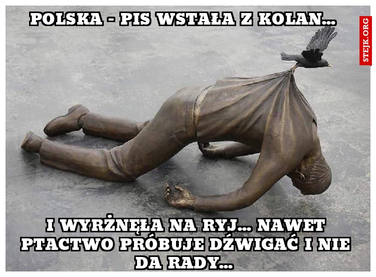 Polska - pis wstała z kolan... - Stejk