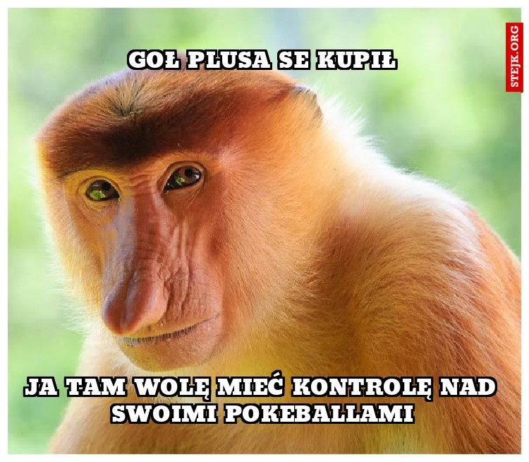Goł plusa se kupił