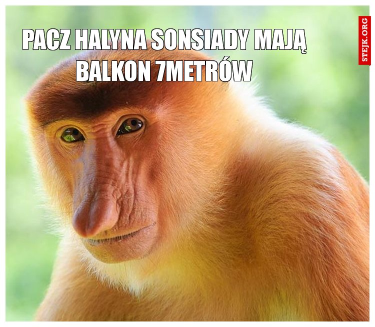 Pacz Halyna sonsiady mają balkon 7metrów