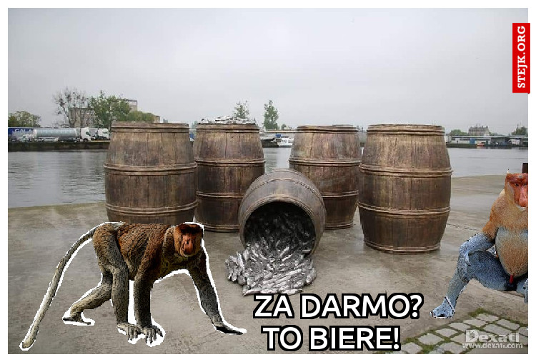 Za darmo?