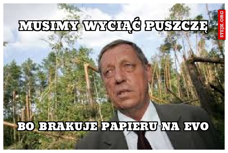 Musimy wyciąć puszczę