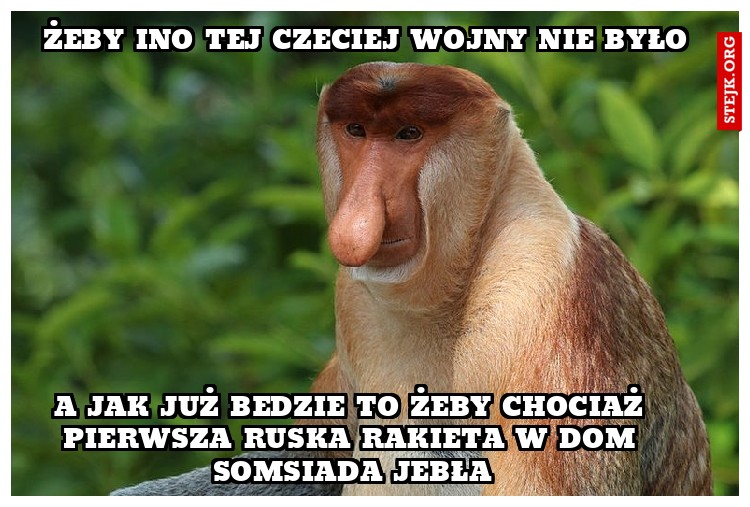 żeby ino tej czeciej wojny nie było