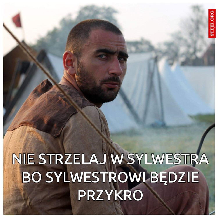 NIE STRZELAJ W SYLWESTRA BO SYLWESTROWI BĘDZIE PRZYKRO