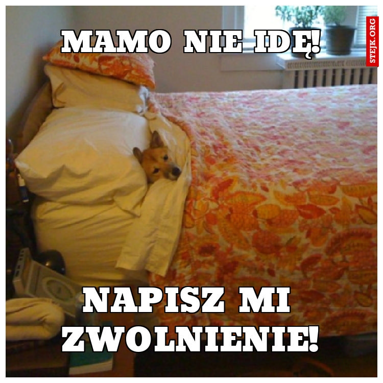 Mamo nie idę!