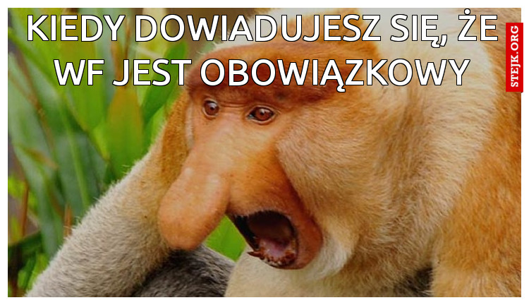 KIEDY DOWIADUJESZ SIĘ, ŻE WF JEST OBOWIĄZKOWY
