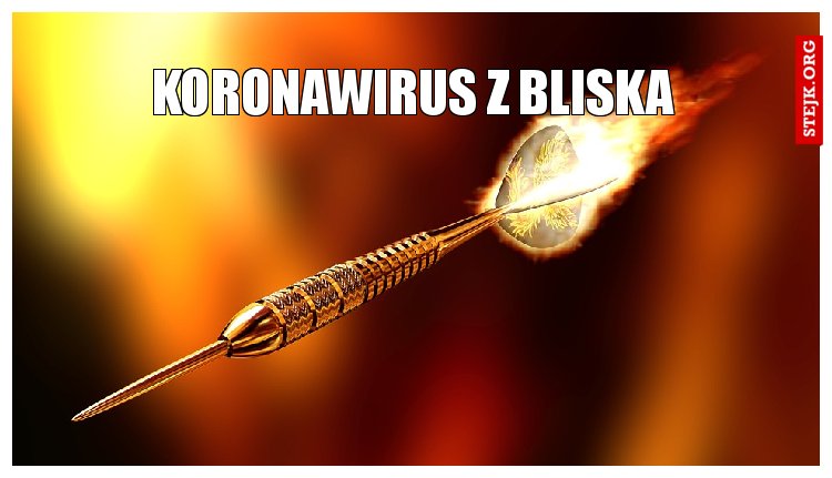 koronawirus z bliska