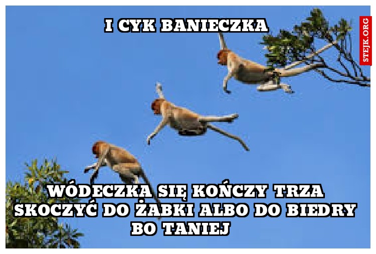 I CYK BANIECZKA