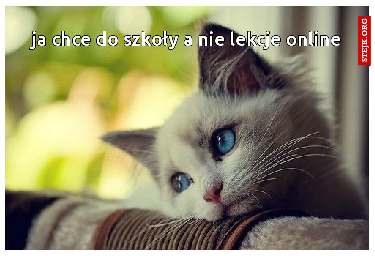 ja chce do szkoły a nie lekcje online