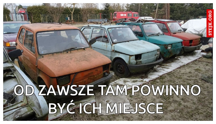 od zawsze tam powinno być ich miejsce 