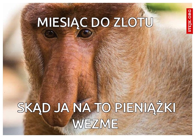 miesiąc do zlotu 