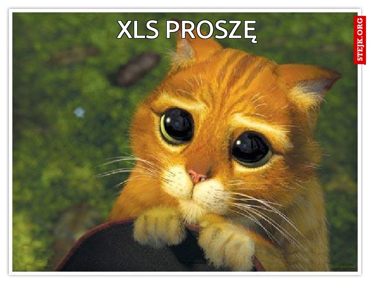 XLS PROSZĘ