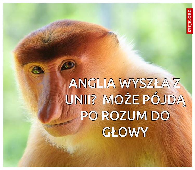 Anglia wyszła z Unii?  Może pójdą po rozum do głowy