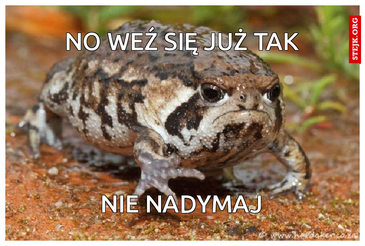 No weź się już tak