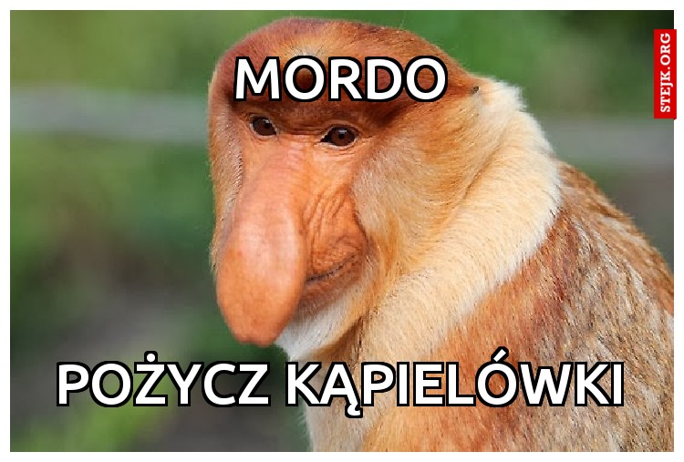 Pożycz kąpielówki