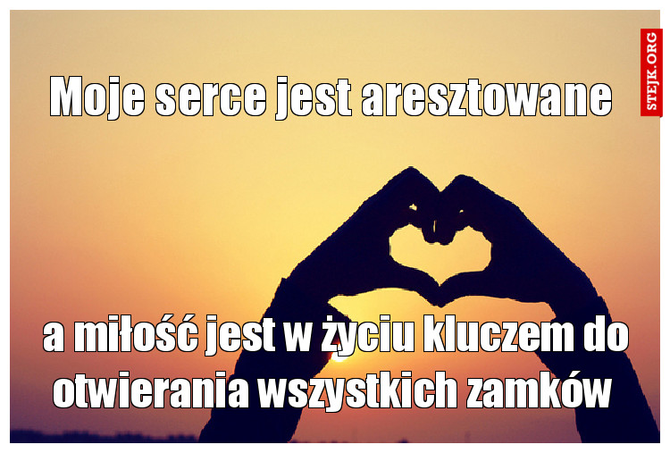 Moje serce jest aresztowane