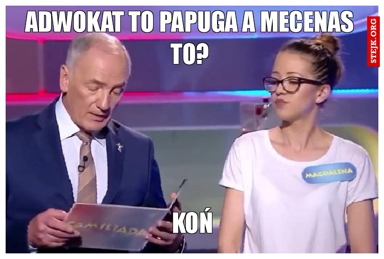 Adwokat to papuga a mecenas to?