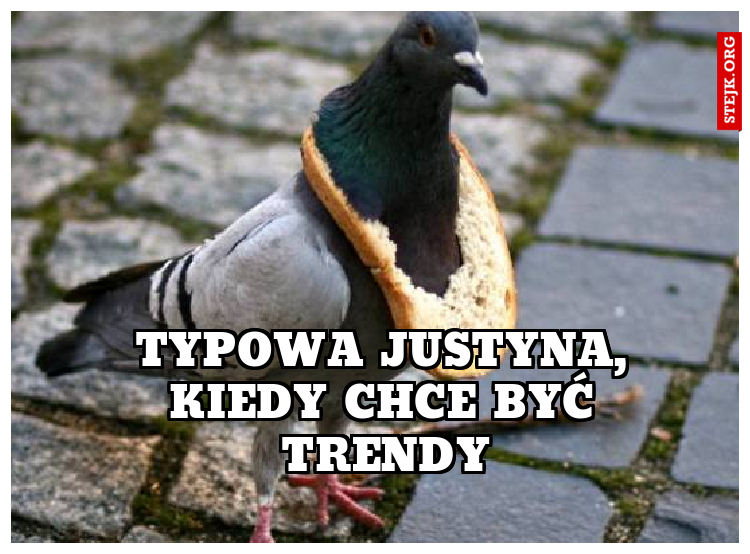 Typowa justyna, kiedy chce być trendy